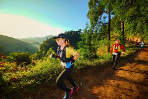 BIB: 
                            <button type="button" onclick="openModal(19169509)" class="btn btn-primary btn-sm float-right btn-popup" data-toggle="modal" data-target=".modal-high-quality">
                        <i class="fas fa-shopping-cart"></i> Add to Cart
                    </button>
                                            <button type="button" onclick="isThisMe(19169509, true)" class="btn btn-success btn-sm float-right btn-popup btn-isme hidden" data-toggle="tooltip" data-placement="bottom" title="นี่คือรูปของคุณใช่ไหม คลิกที่นี่เพื่อเอาเข้าอัลบั้ม">
                        <i class="fas fa-plus"></i> Add to album
                    </button>
                    <button type="button" onclick="isThisMe(19169509, false)" class="btn btn-warning btn-sm float-right btn-popup btn-isnotme hidden">
                        <i class="fas fa-ban"></i> Remove from album
                    </button>